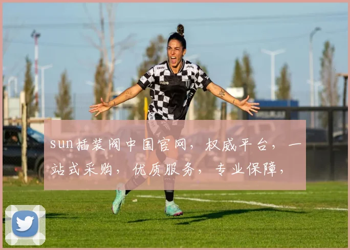 sun插装阀中国官网，权威平台，一站式采购，优质服务，专业保障，三重承诺，您的不二之选