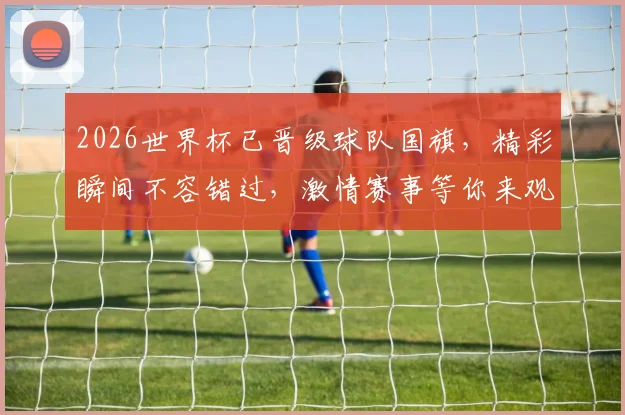 2026世界杯已晋级球队国旗，精彩瞬间不容错过，激情赛事等你来观