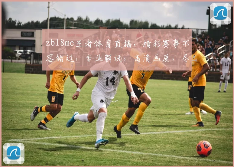 zb18me王者体育直播，精彩赛事不容错过，专业解说，高清画质，尽享体育盛宴，锁定zb18me