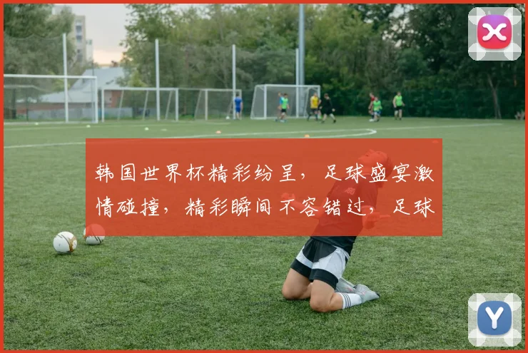 韩国世界杯精彩纷呈，足球盛宴激情碰撞，精彩瞬间不容错过，足球迷必看